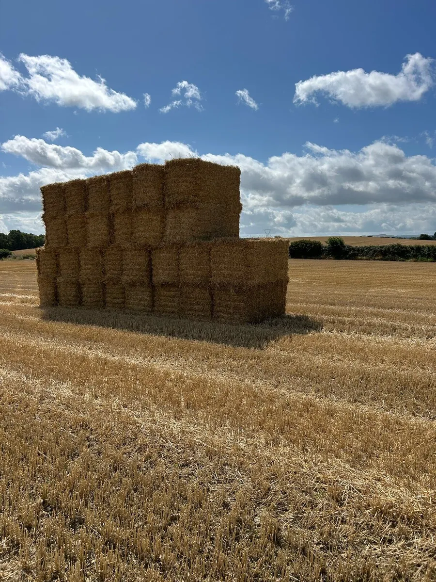 Straw 8x4x4 - Image 1