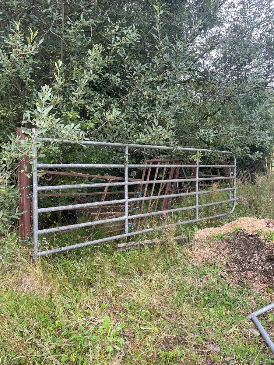 Field Gate