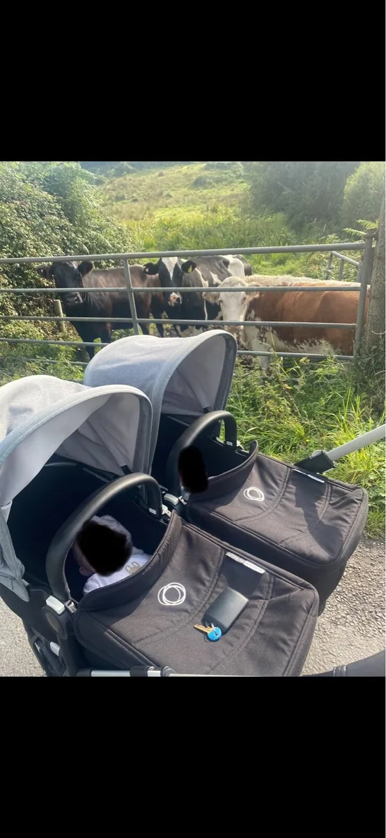Bugaboo Buggy - Image 3