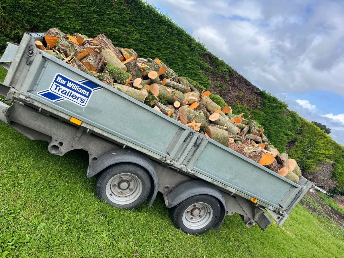 Whitethorn and ash firewood - Image 1