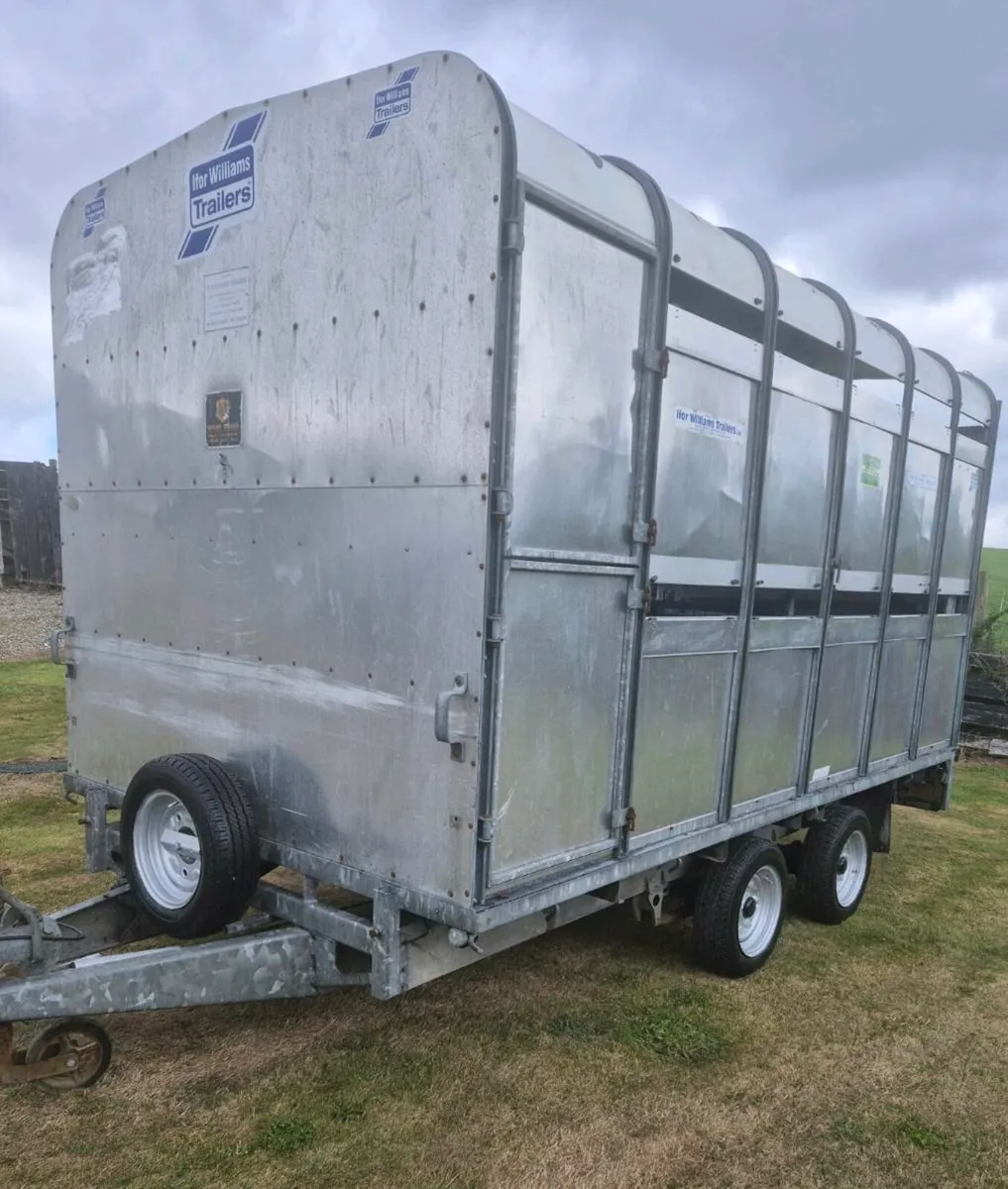 Ifor williams 12 x 6,6 cattle  trailer - Image 3