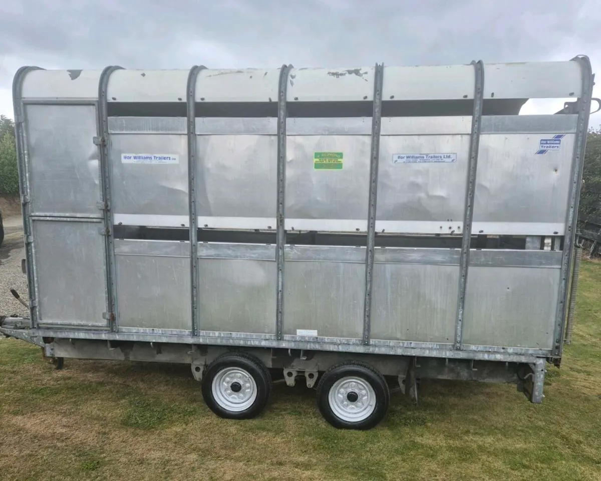 Ifor williams 12 x 6,6 cattle  trailer - Image 4
