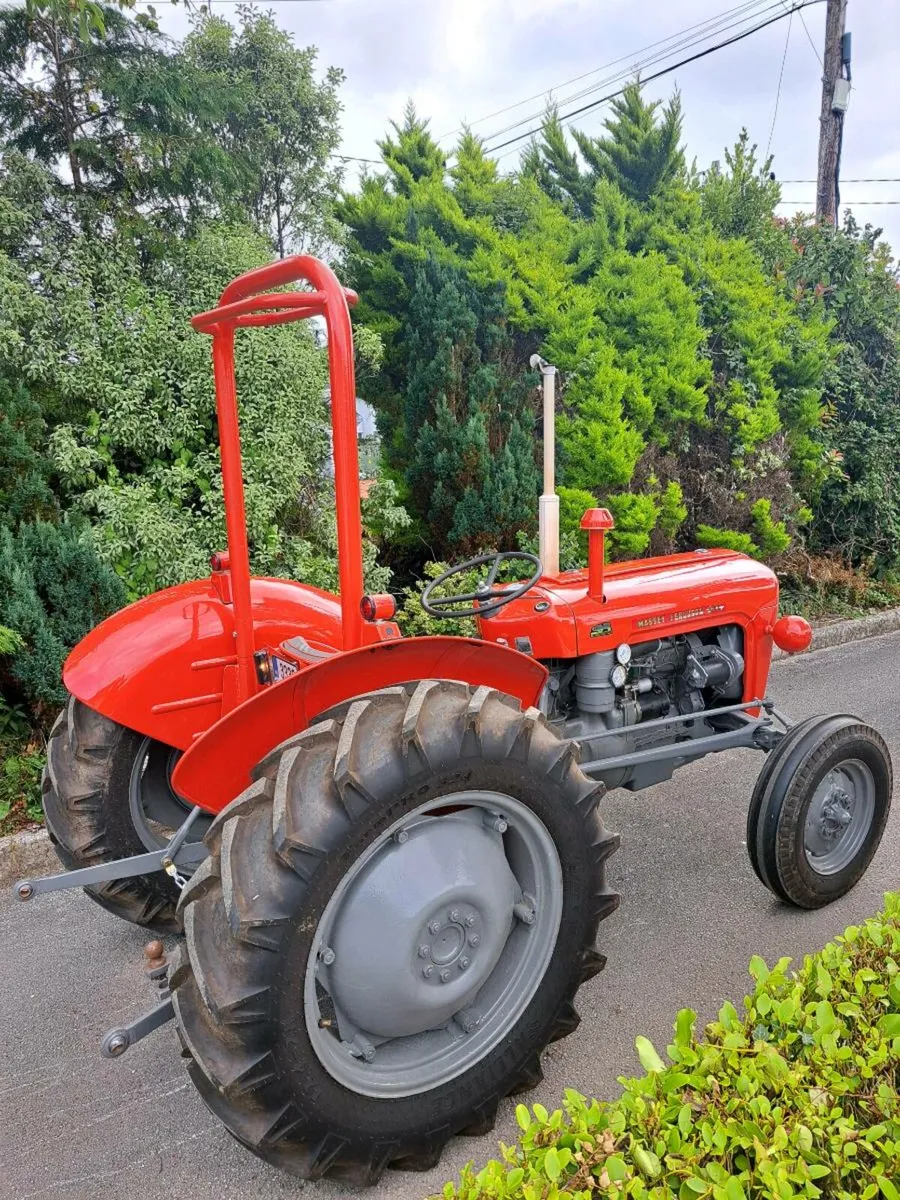 Massey Ferguson 35X - Image 2