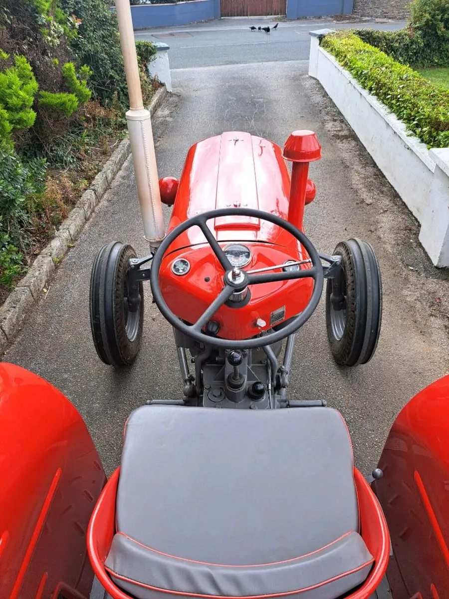 Massey Ferguson 35X - Image 3