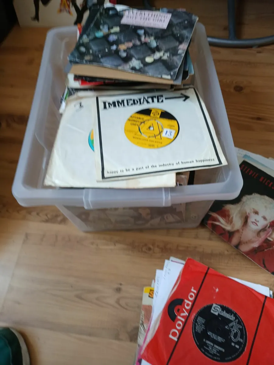 Vinyl records - Image 1