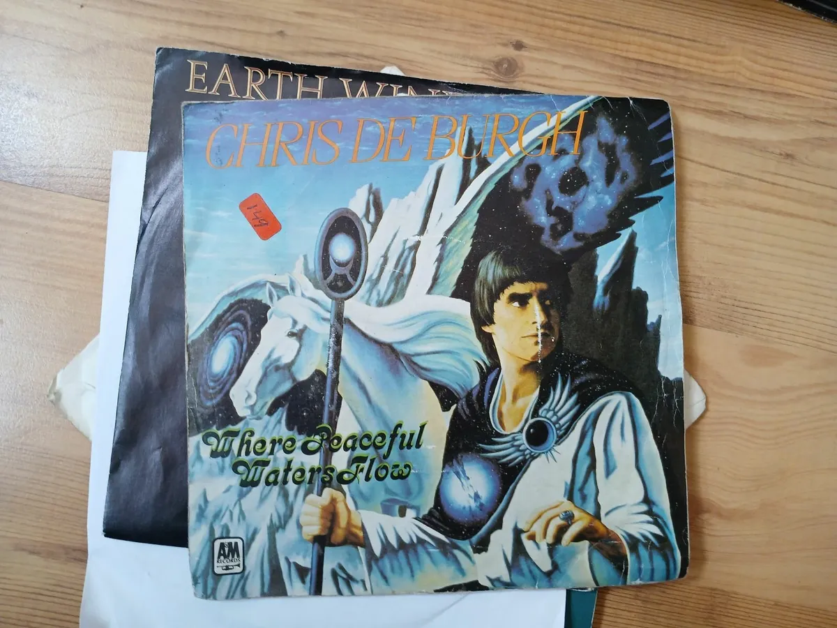 Vinyl records - Image 4