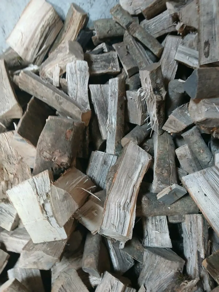 Fuel - Image 2