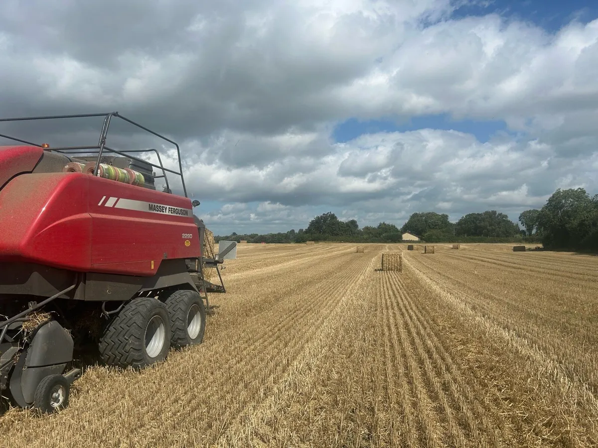 Wheaten Straw For Sale Per Ton - Image 1