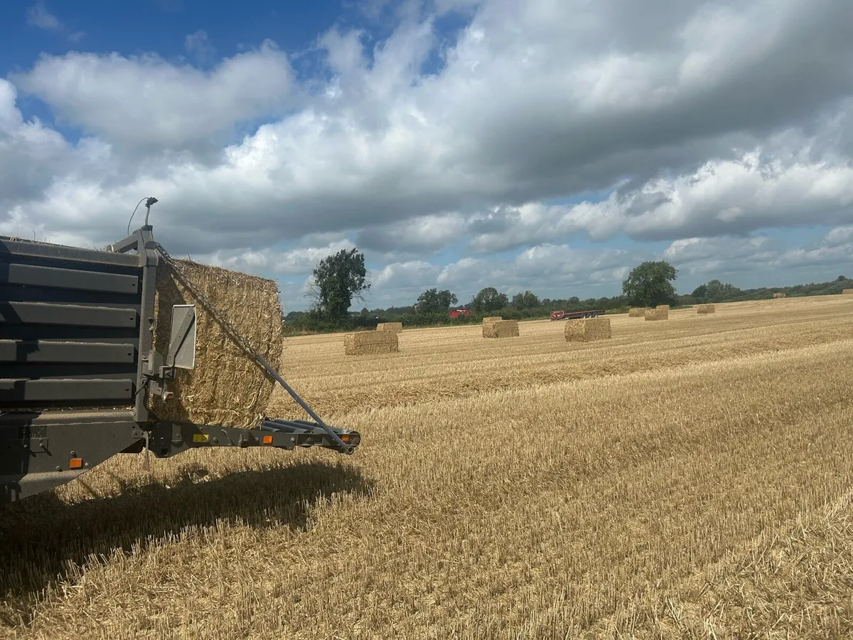 Wheaten Straw For Sale Per Ton - Image 4