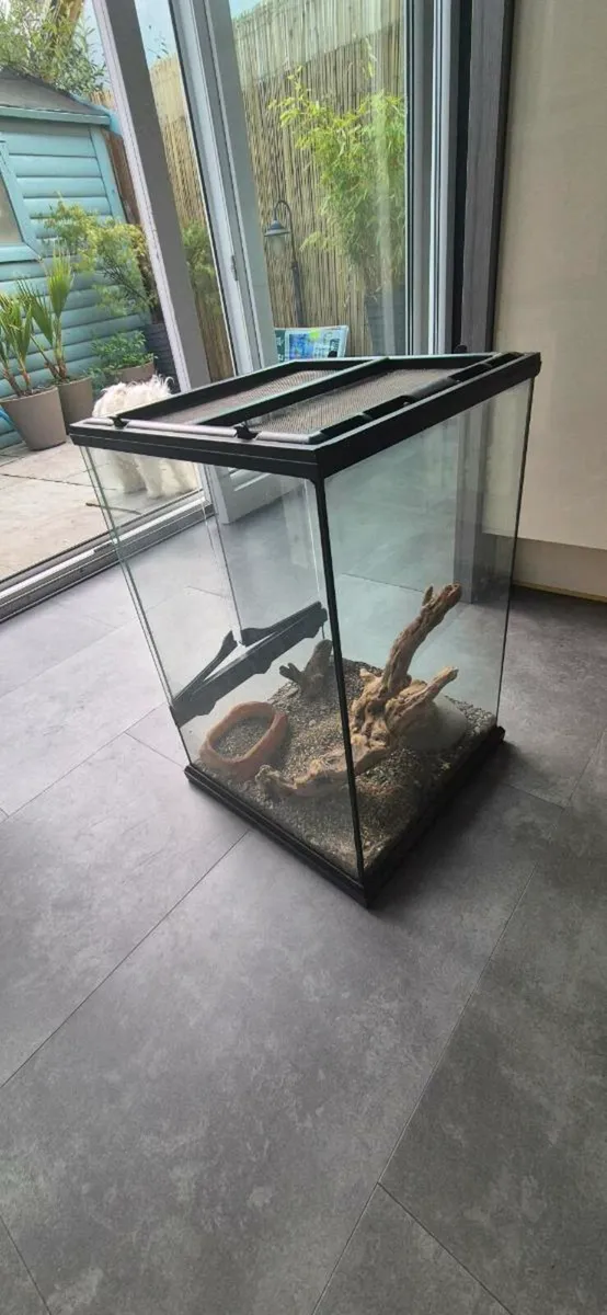 terrarium - Image 1