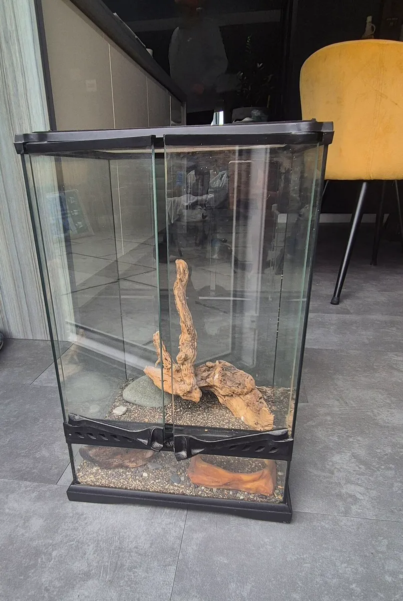 terrarium - Image 3