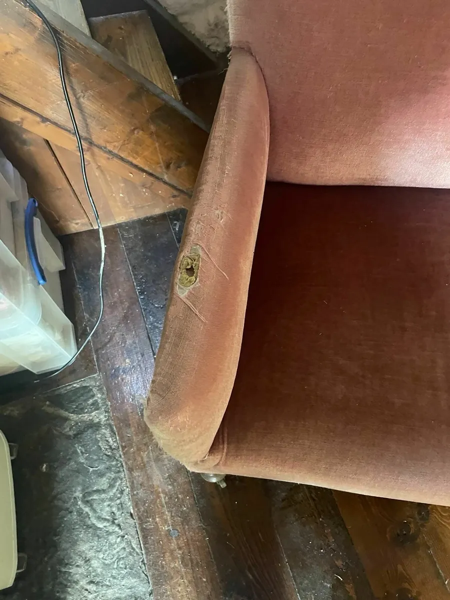 Couch/ Sofa - Image 4