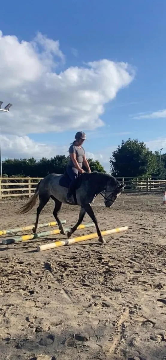 Pony - Image 1