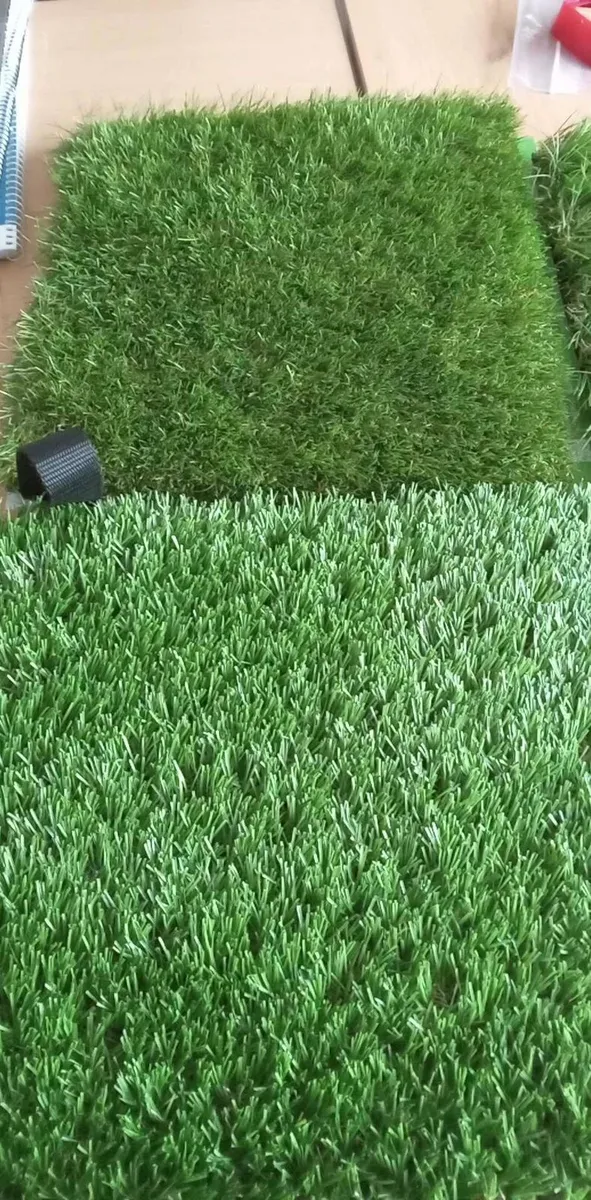 Premium quality grass - Image 3