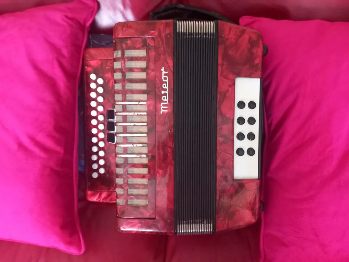 Button accordion - Image 1