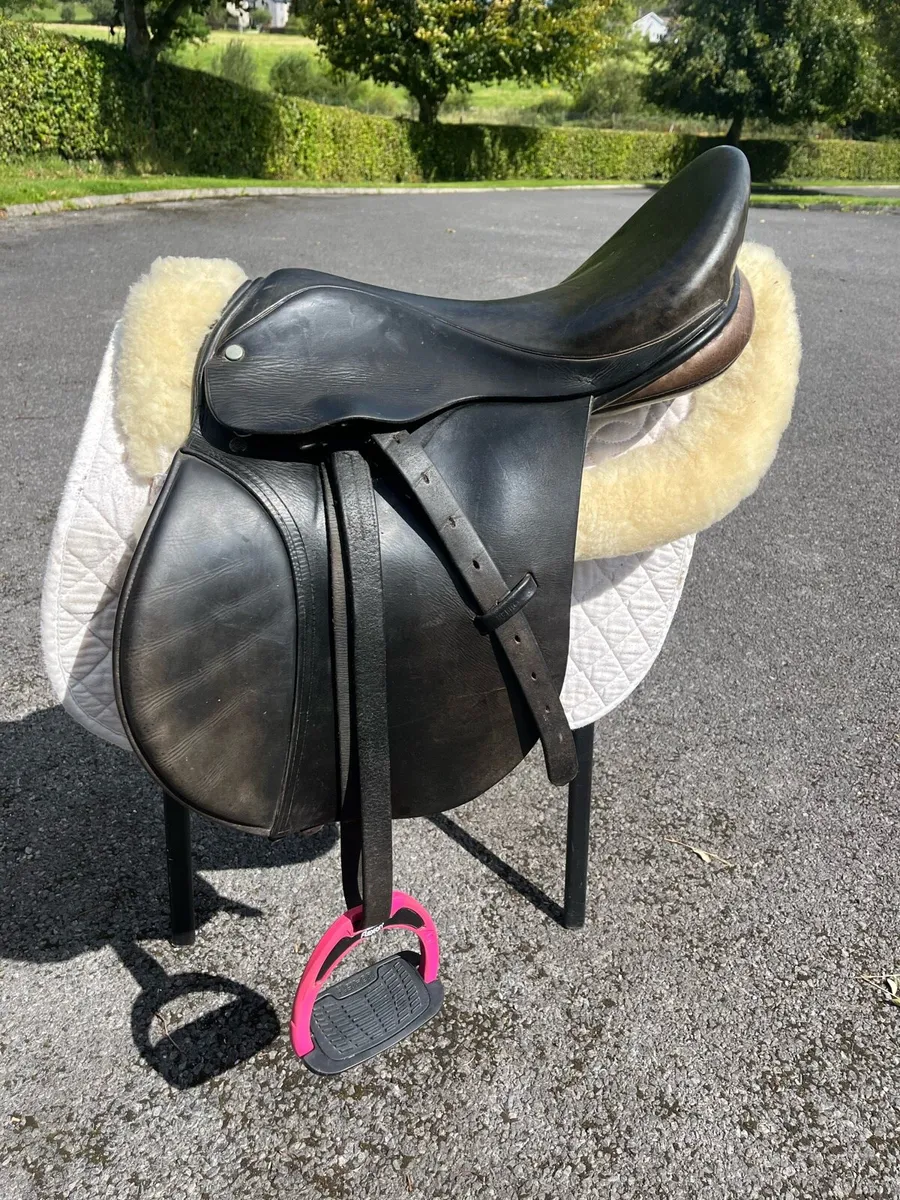 Berney saddle - Image 2