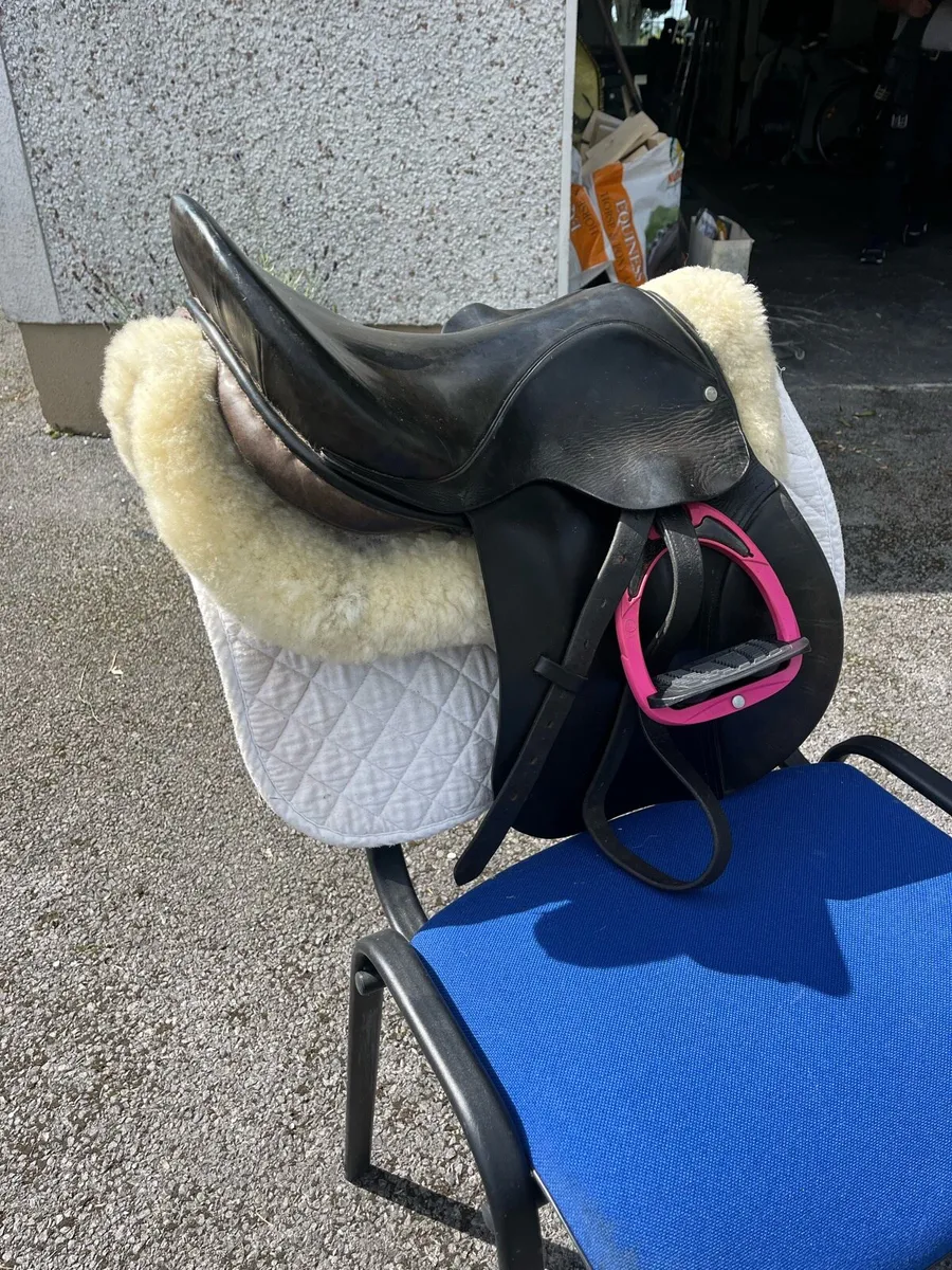 Berney saddle - Image 4