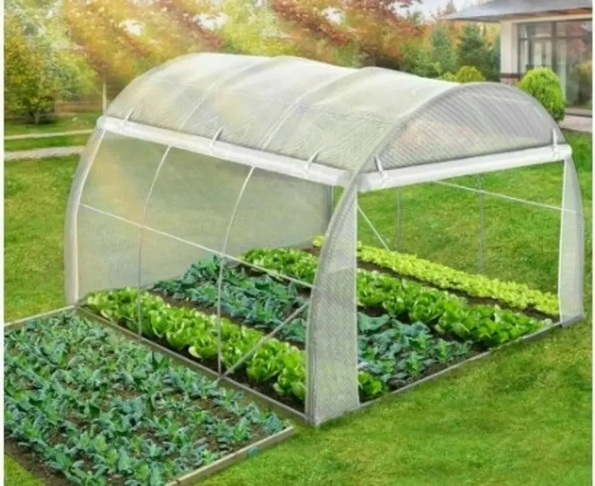 Greenhouse 3x2x2 m 6m² Poly Tunnels - Image 4