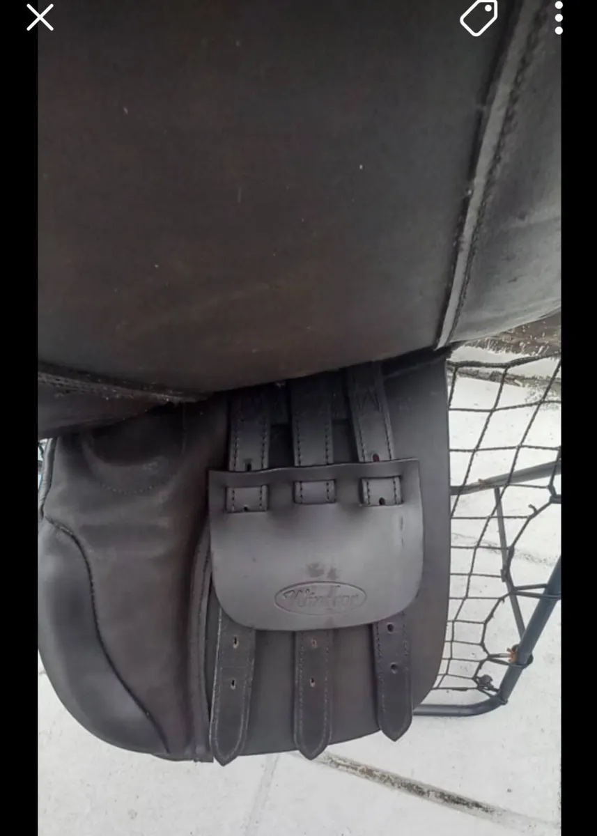 Pony saddle 15inch - Image 2