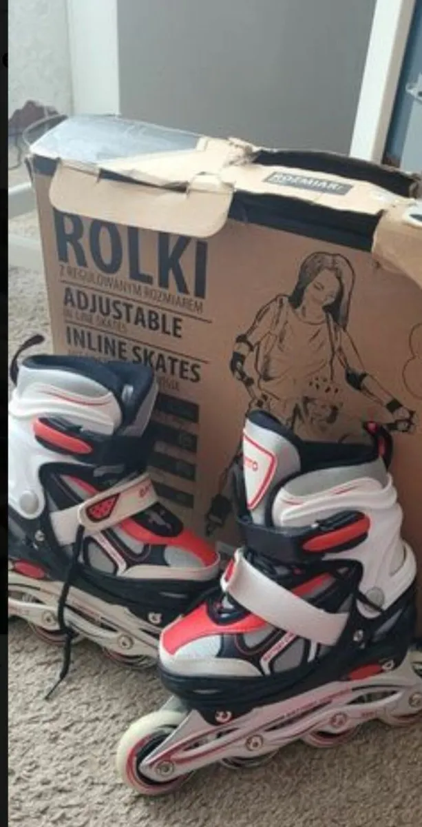 Skate - Image 1