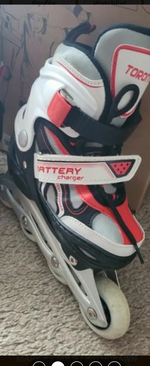 Skate - Image 2