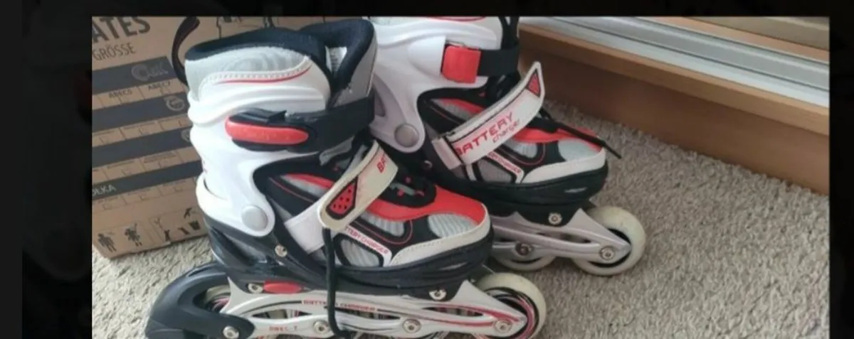 Skate - Image 3