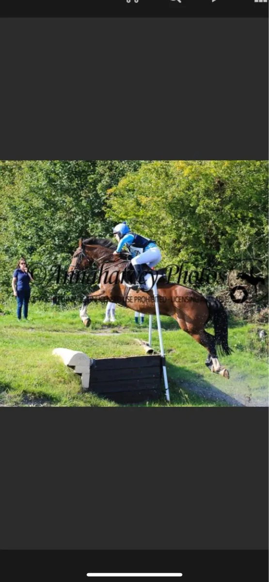 14.2 Competition pony - Image 3