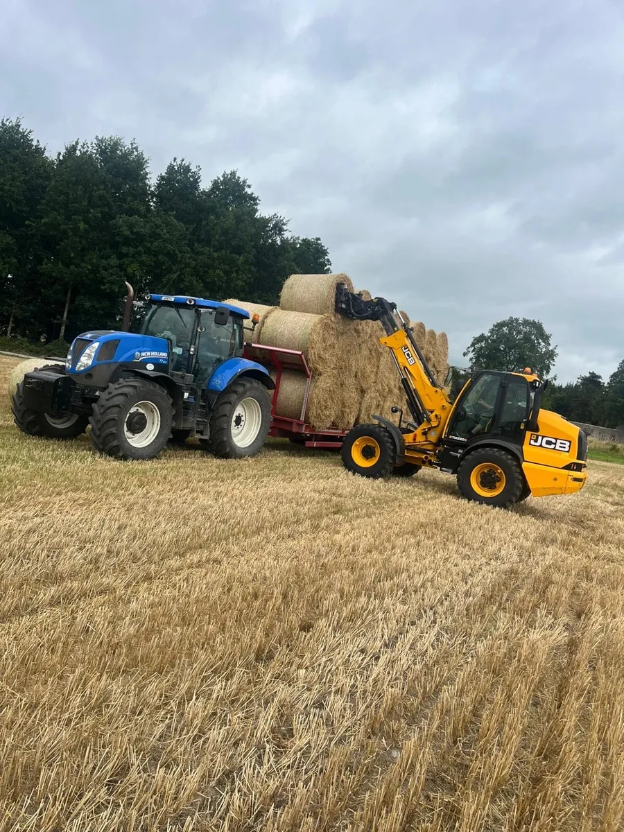 Golden spring barley straw