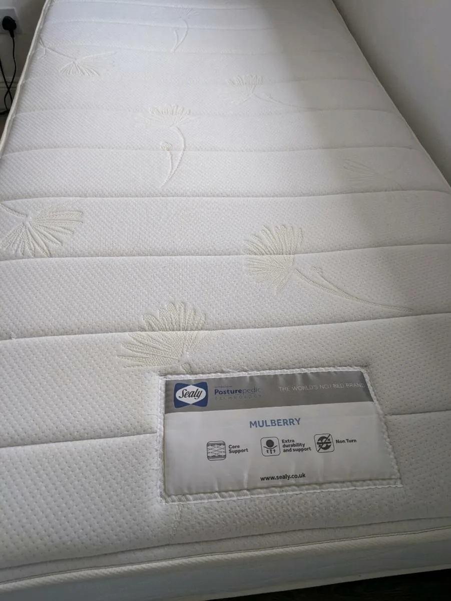 Sealy single bed - Image 1