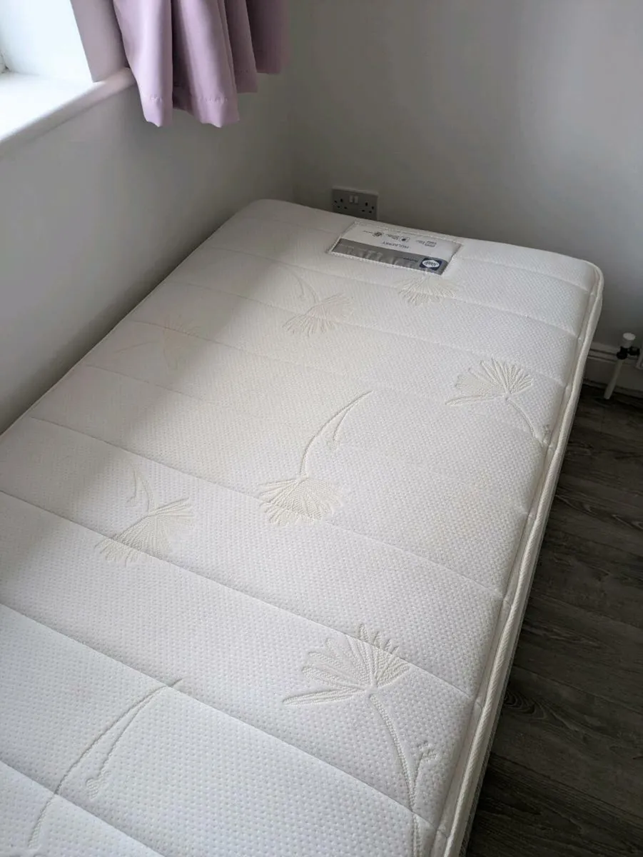 Sealy single bed - Image 2