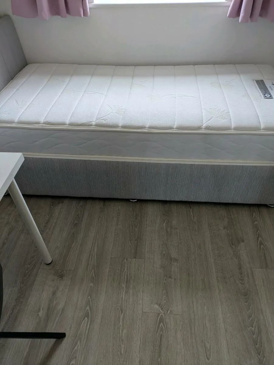 Sealy single bed - Image 3