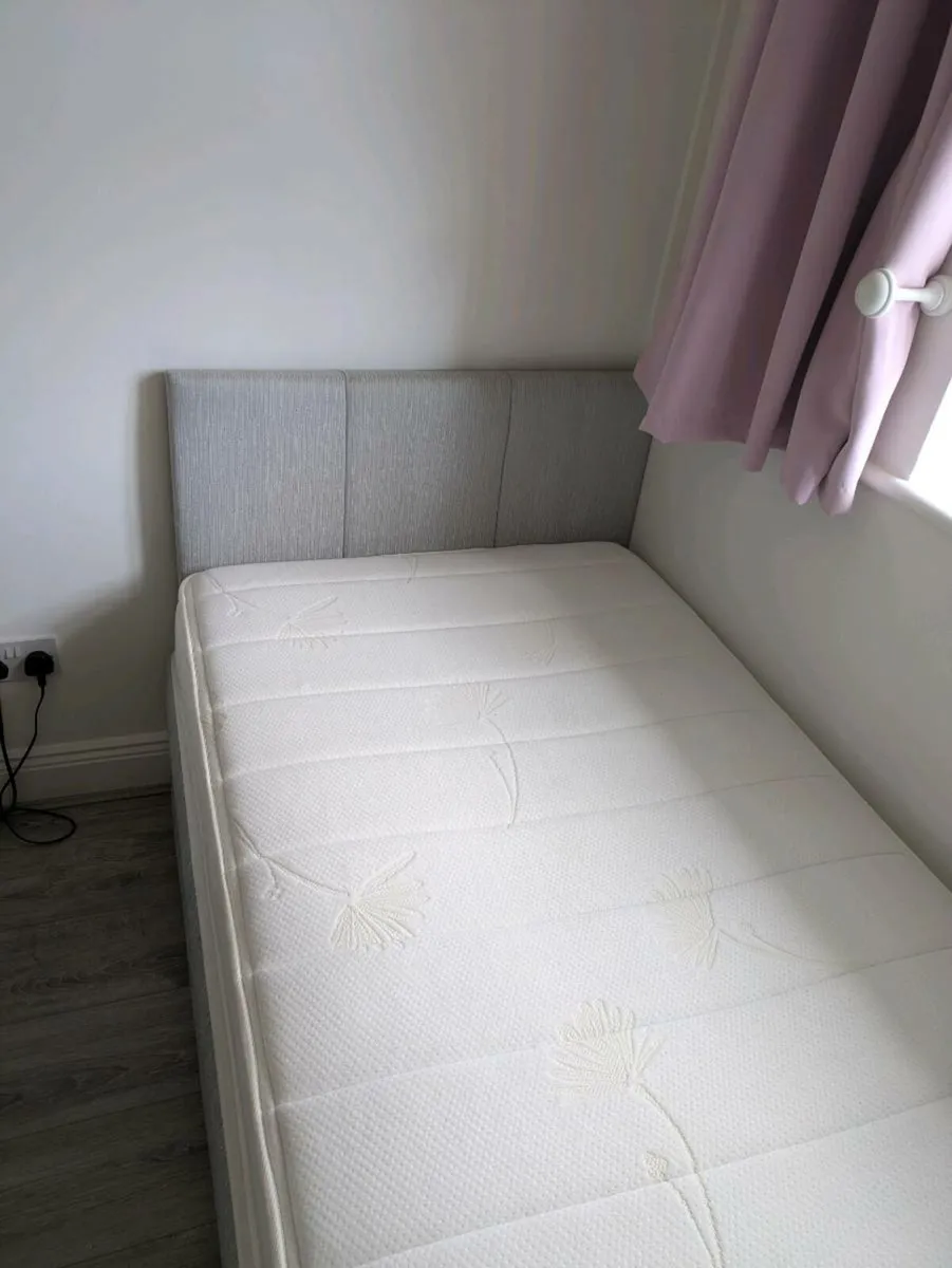 Sealy single bed - Image 4