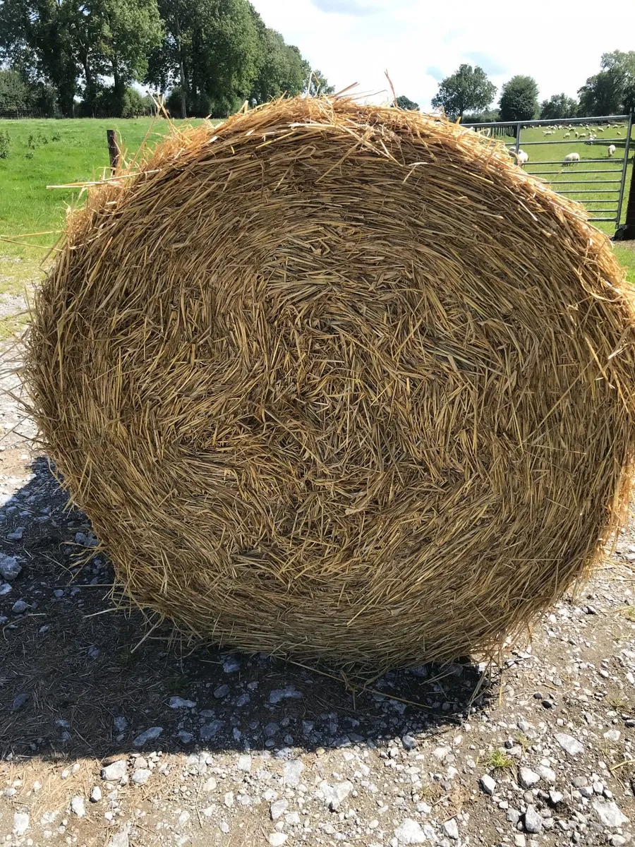 Straw - Image 2