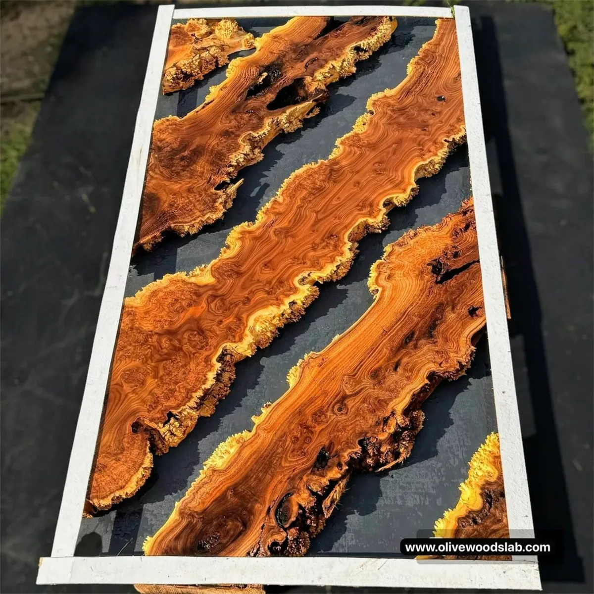 Turkish Olive Wood & Black Walnut slab - Image 2