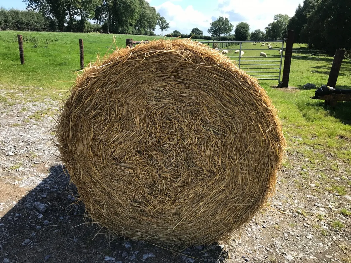 Straw - Image 1