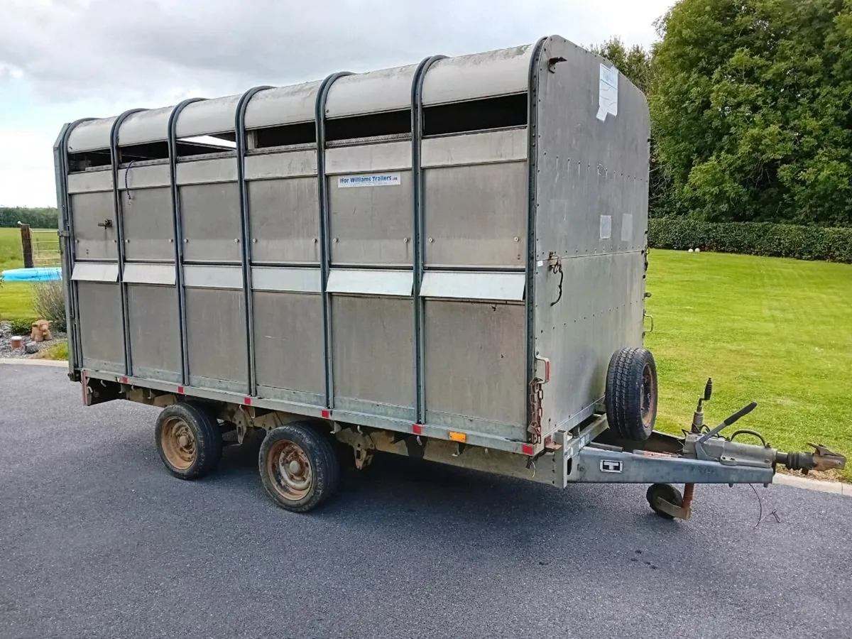 Ifor Williams trailer with Dividing gate and decks - Image 1