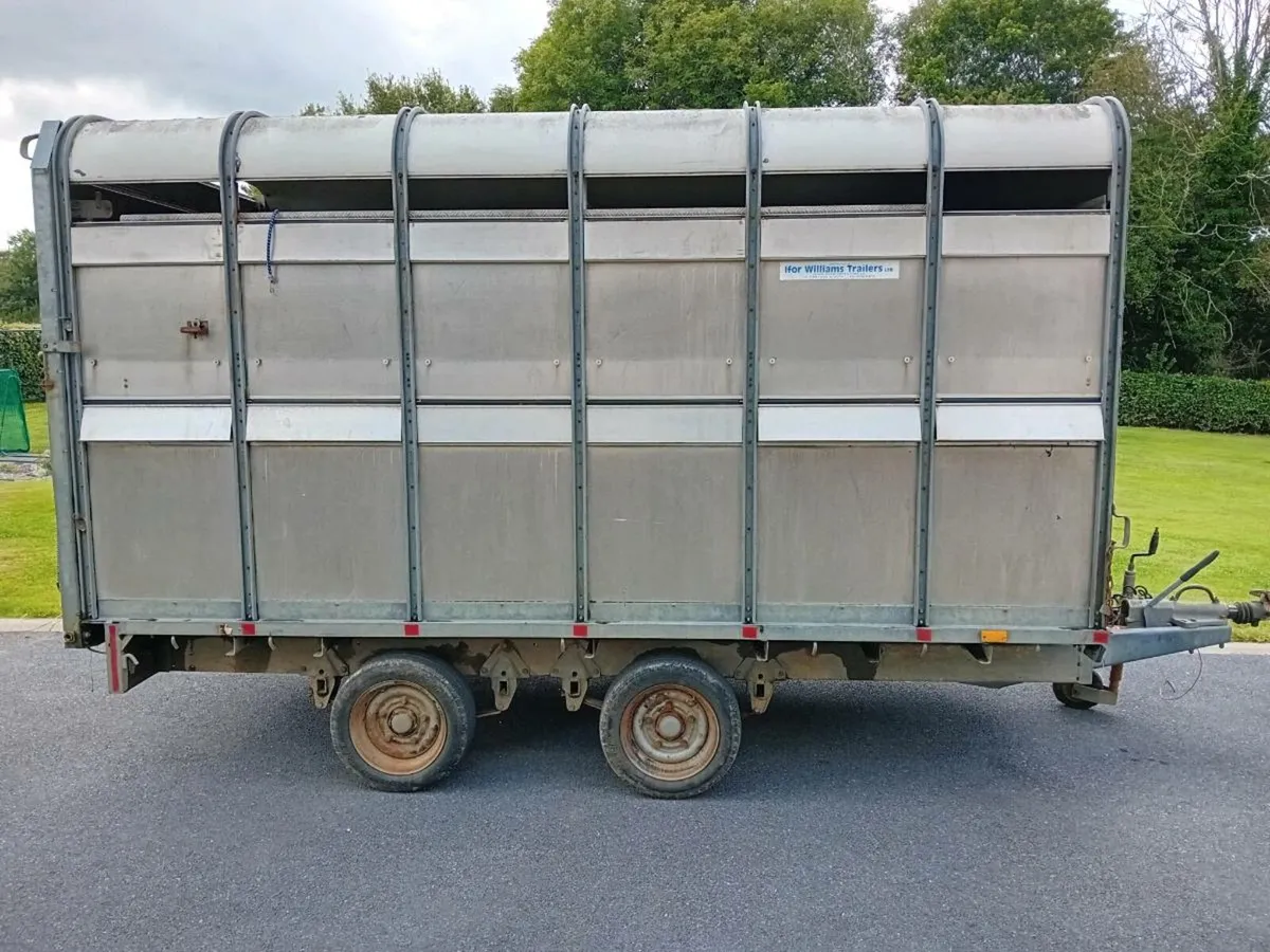 Ifor Williams trailer with Dividing gate and decks - Image 2