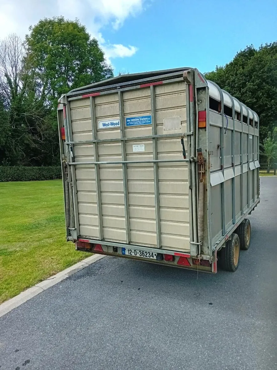 Ifor Williams trailer with Dividing gate and decks - Image 4