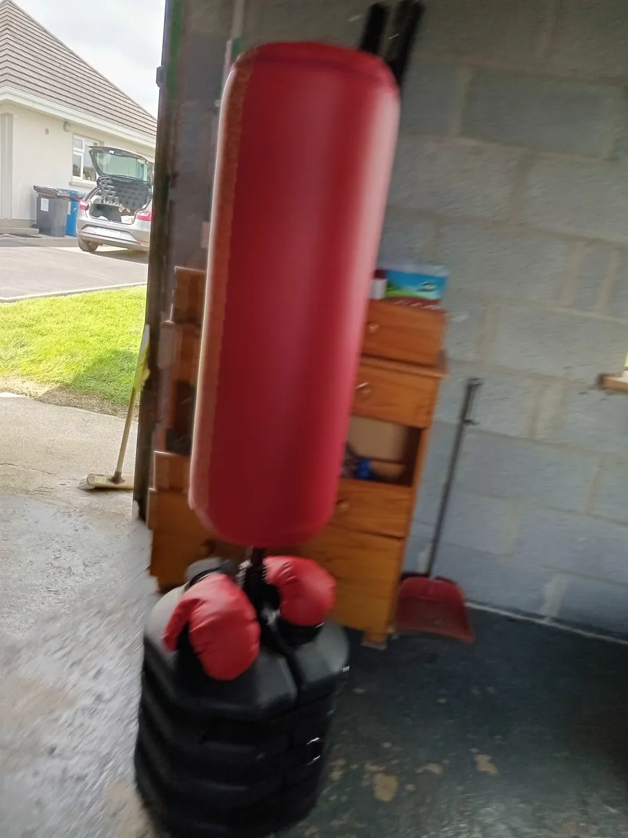 Punching  bag with gloves and a lorry - Image 1