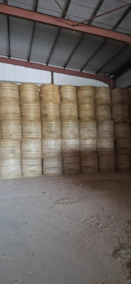 Spring Barley Straw for Sale