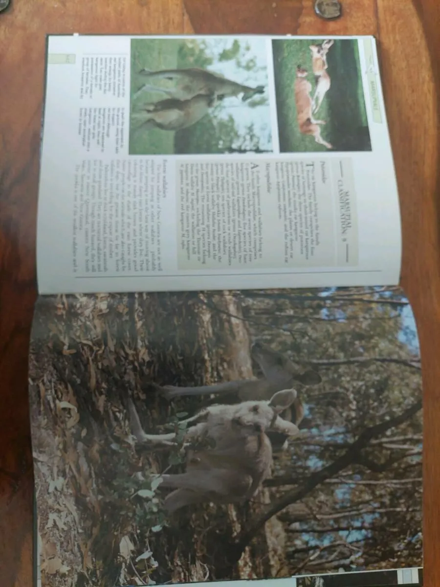 Wildlife illustrated encyclopedia - Image 1