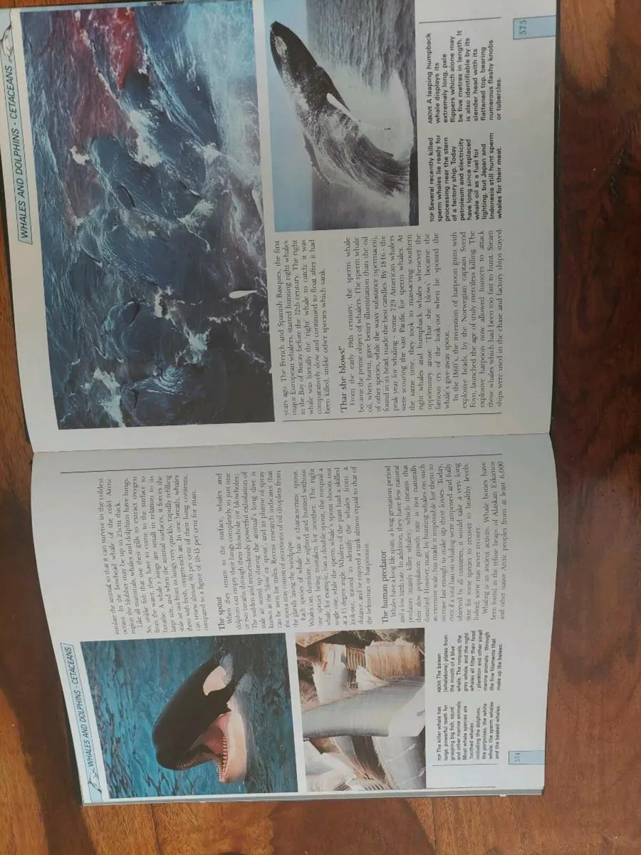 Wildlife illustrated encyclopedia - Image 2
