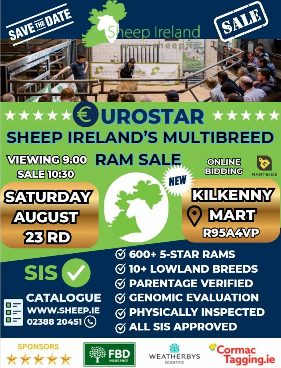 Elite €uroStar Multi Breed Ram Sale