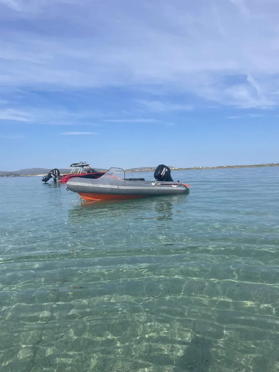Rib - Image 1