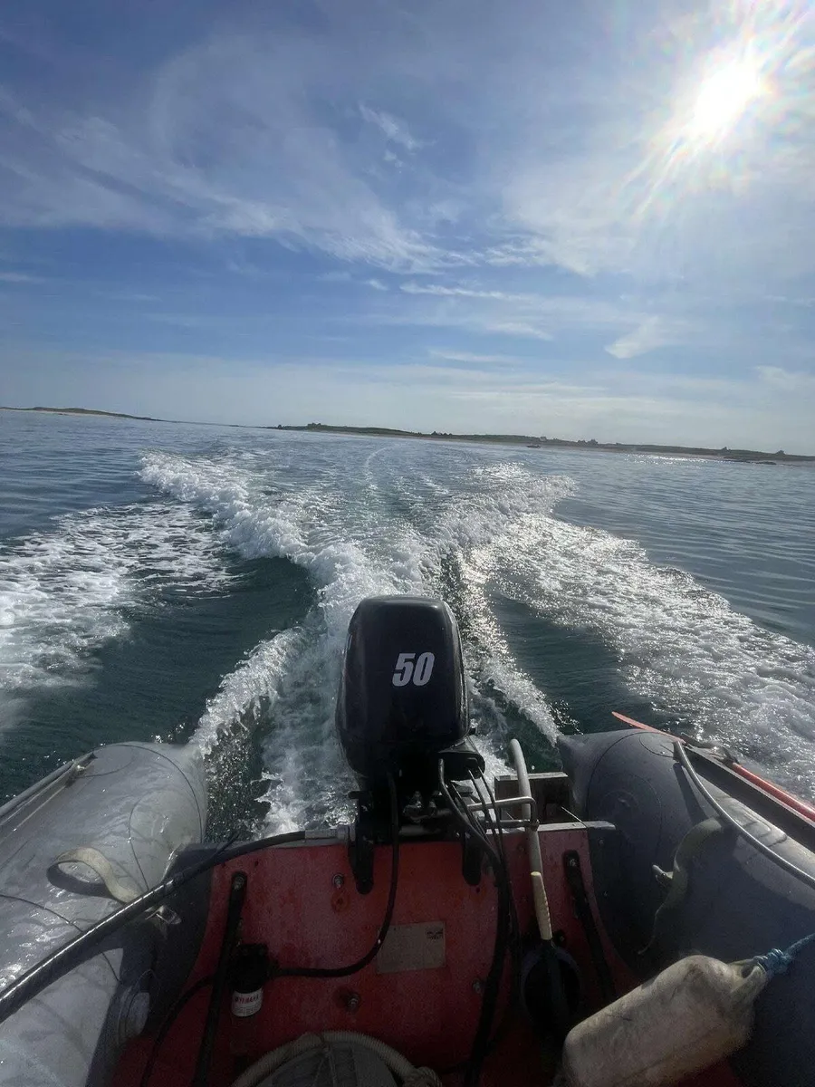 Rib - Image 2