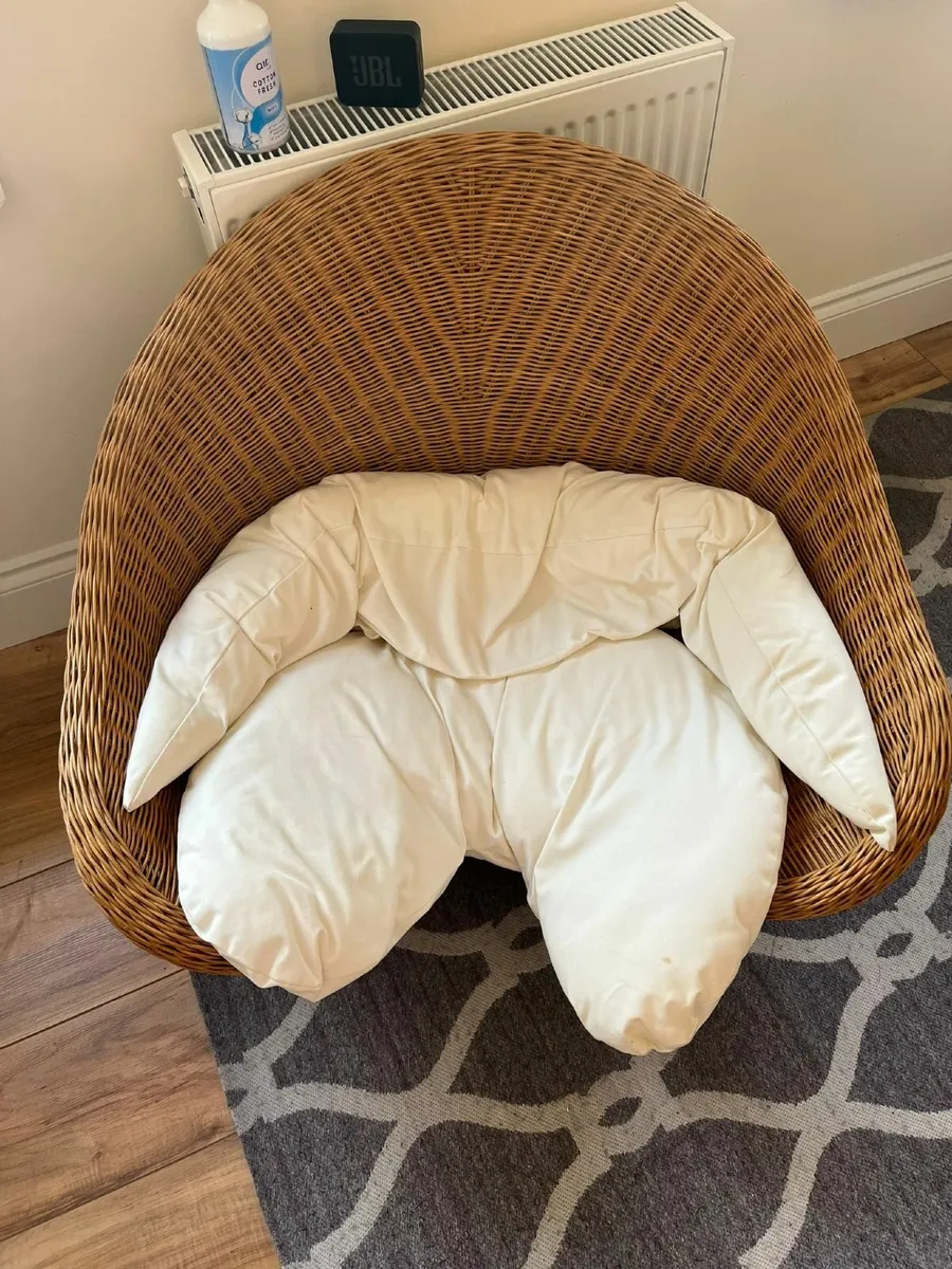Rattan Chair w/cushions.