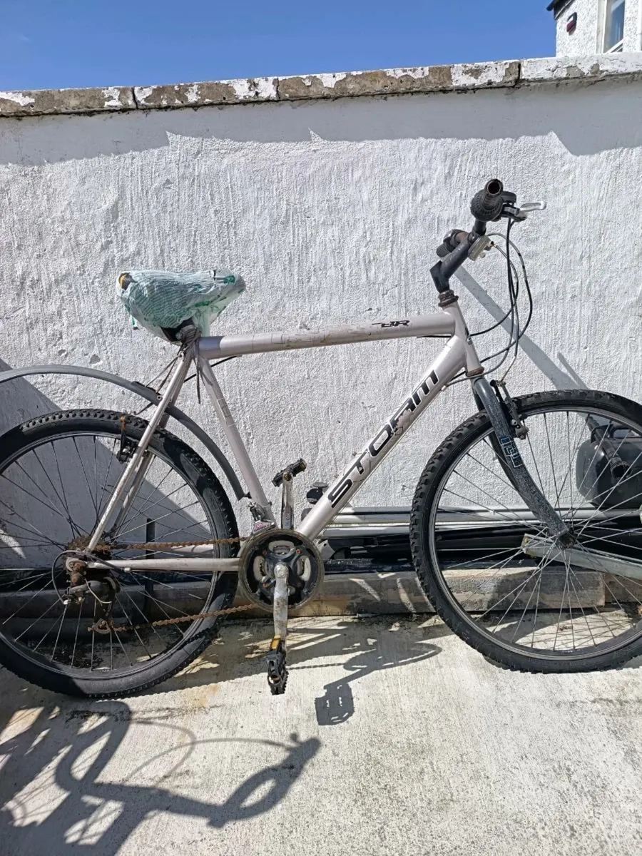 Bike - Image 1