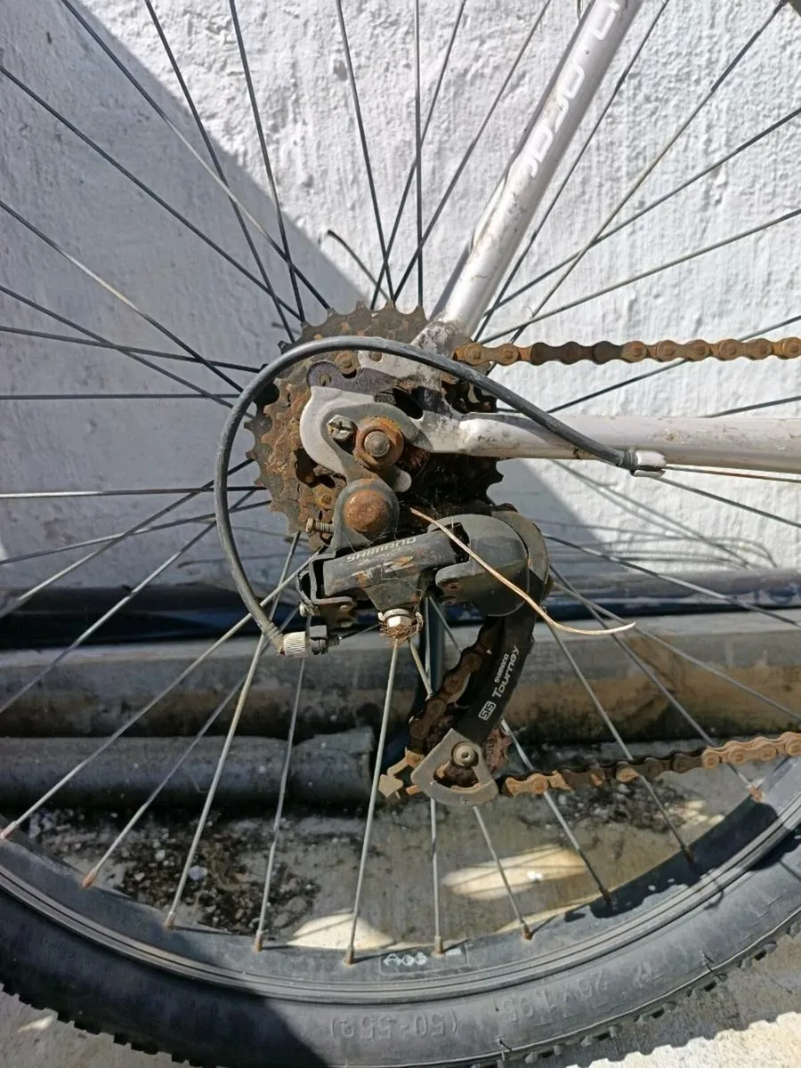 Bike - Image 3