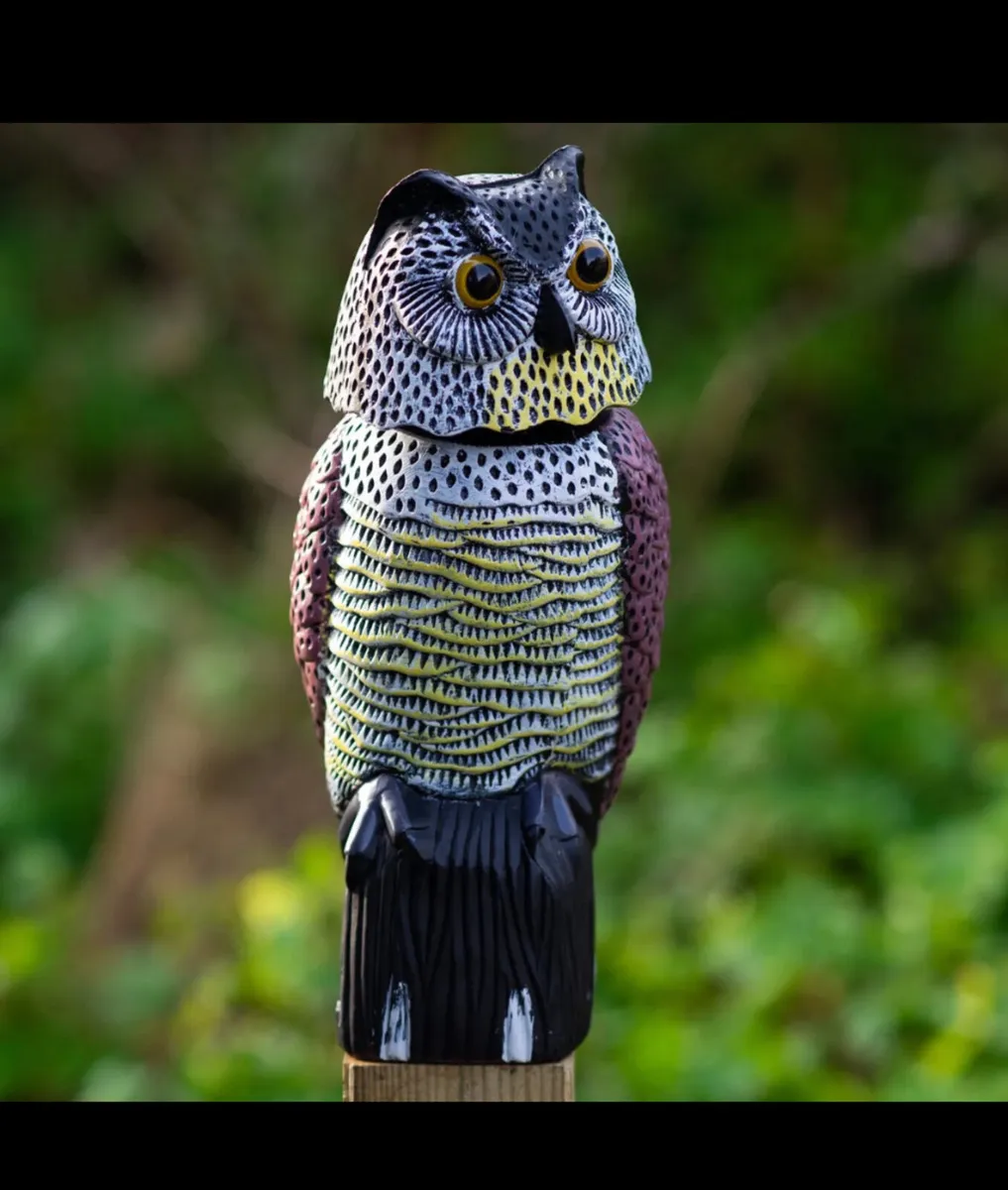 Bird Pigeon Scarecrow Owl Decoy with Rotating Head - Image 2