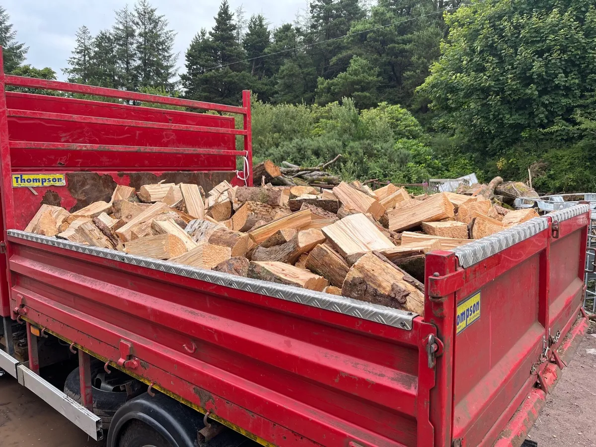 Firewood - Image 4